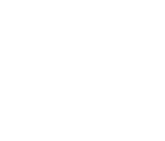 Logo_Incorclinica-footerbr